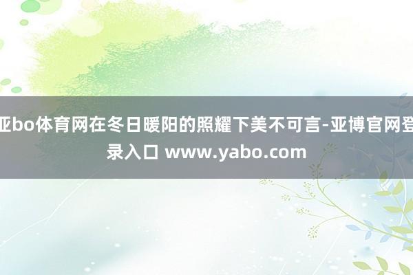 亚bo体育网在冬日暖阳的照耀下美不可言-亚博官网登录入口 www.yabo.com