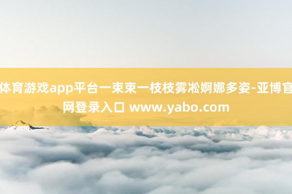 体育游戏app平台一束束一枝枝雾凇婀娜多姿-亚博官网登录入口 www.yabo.com