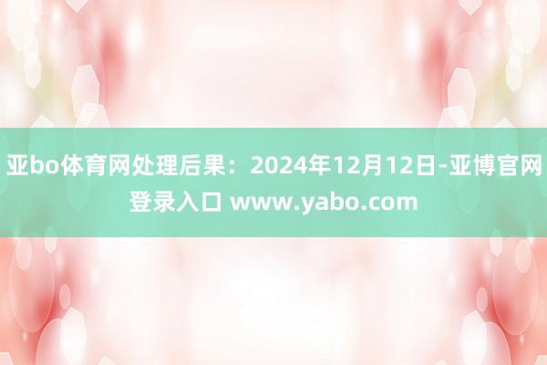 亚bo体育网处理后果：2024年12月12日-亚博官网登录入口 www.yabo.com