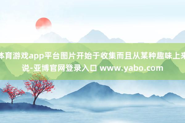 体育游戏app平台图片开始于收集而且从某种趣味上来说-亚博官网登录入口 www.yabo.com