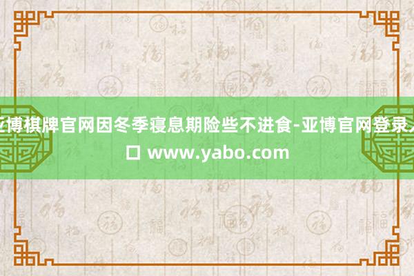 亚博棋牌官网因冬季寝息期险些不进食-亚博官网登录入口 www.yabo.com