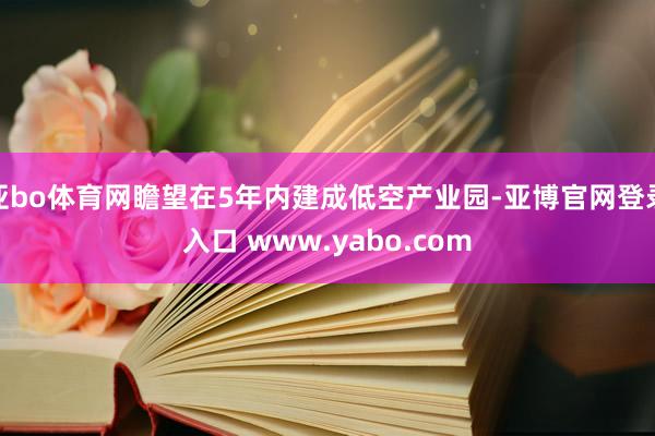 亚bo体育网瞻望在5年内建成低空产业园-亚博官网登录入口 www.yabo.com