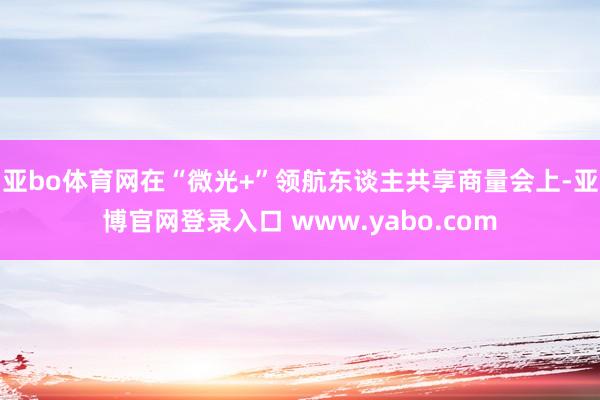 亚bo体育网在“微光+”领航东谈主共享商量会上-亚博官网登录入口 www.yabo.com