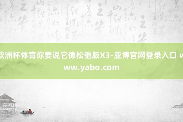 欧洲杯体育你要说它像松弛版X3-亚博官网登录入口 www.yabo.com