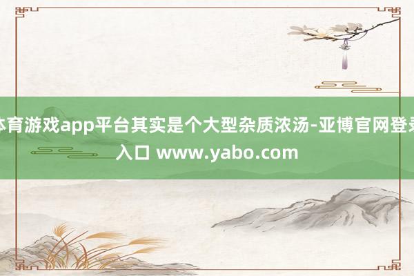 体育游戏app平台其实是个大型杂质浓汤-亚博官网登录入口 www.yabo.com