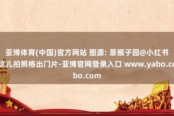 亚博体育(中国)官方网站 图源: 景猴子园@小红书在这儿拍照格出门片-亚博官网登录入口 www.yabo.com