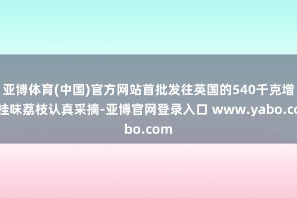 亚博体育(中国)官方网站首批发往英国的540千克增城桂味荔枝认真采摘-亚博官网登录入口 www.yabo.com