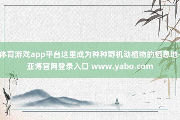 体育游戏app平台这里成为种种野机动植物的栖息地-亚博官网登录入口 www.yabo.com
