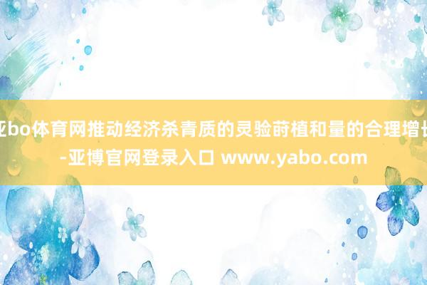 亚bo体育网推动经济杀青质的灵验莳植和量的合理增长-亚博官网登录入口 www.yabo.com