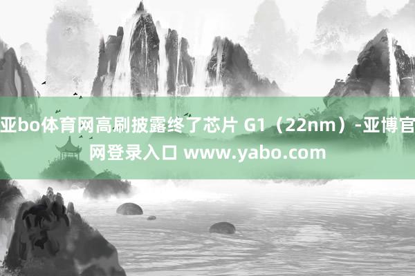 亚bo体育网高刷披露终了芯片 G1（22nm）-亚博官网登录入口 www.yabo.com
